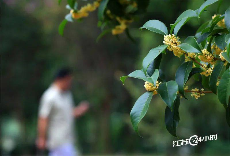 江苏24小时·滚动推送｜常州市：2023中国羽毛球公开赛拉开帷幕