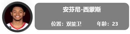 一份全新的开拓者球员报告（交易更新后名单）