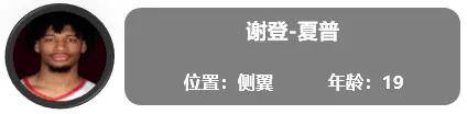 一份全新的开拓者球员报告（交易更新后名单）