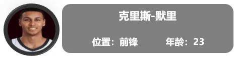 一份全新的开拓者球员报告（交易更新后名单）